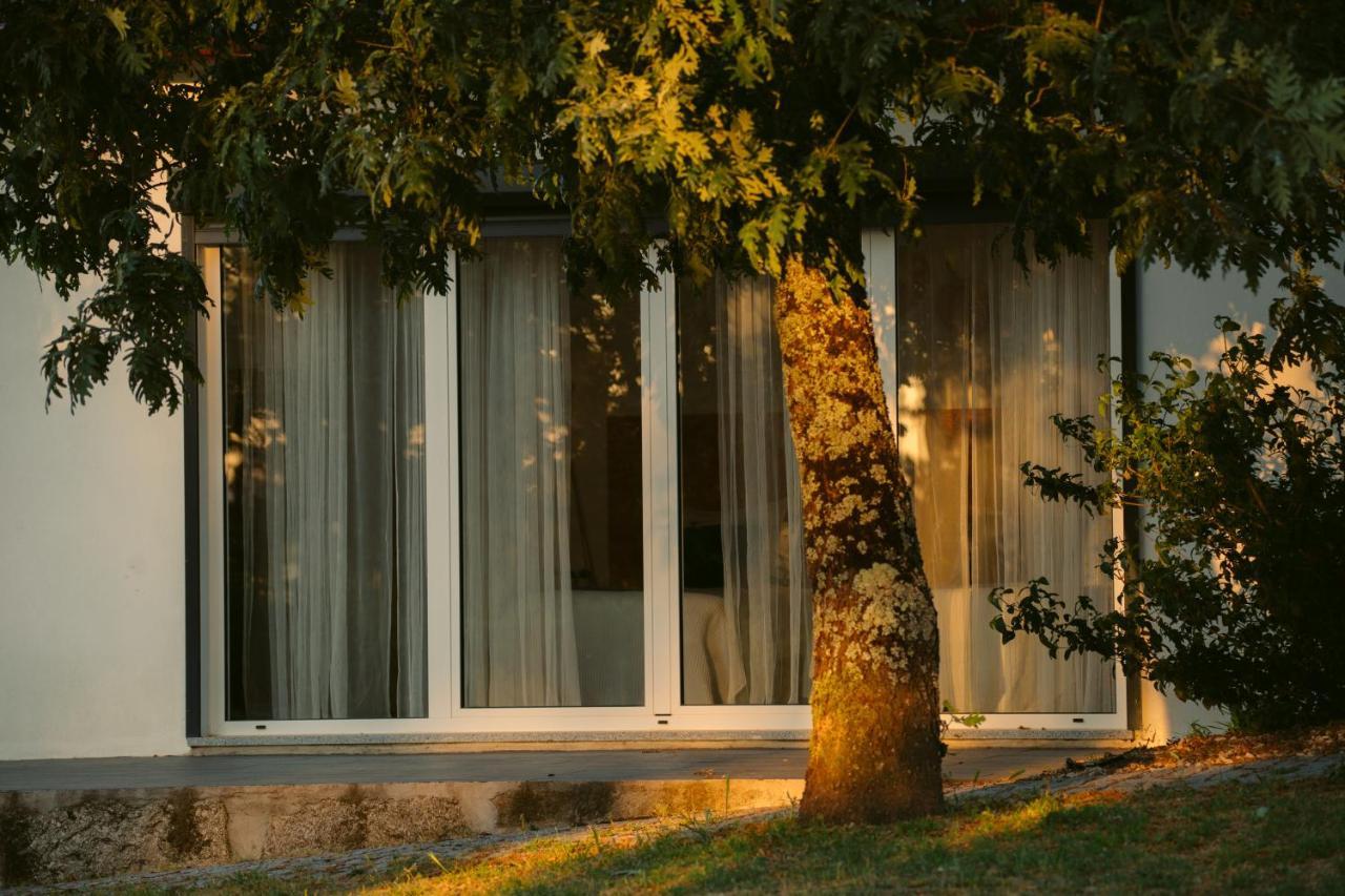 Pura - Home In Nature Oliveira do Hospital Exterior photo